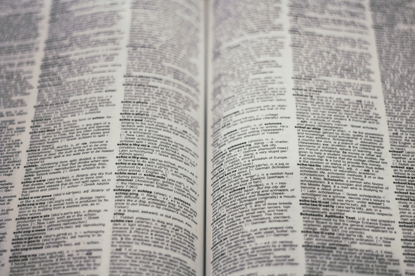 An image of text in a book